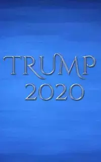 Trump 2020 writing journal - Michael Huhn Sir