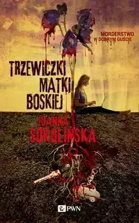 Trzewiczki Matki Boskiej - Joanna Sokolińska