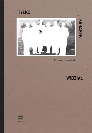 Tylko kanarek widział - Mariusz Grzebalski