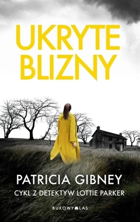 Ukryte blizny - Patricia Gibney