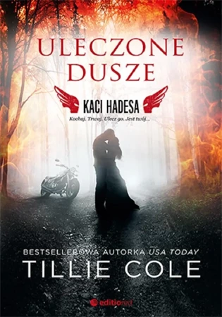 Uleczone dusze. Kaci Hadesa - Tillie Cole