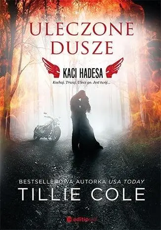 Uleczone dusze. Kaci Hadesa - Tillie Cole