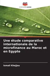 Une étude comparative internationale de la microfinance au Maroc et en Egypte - Khejjou Ismail