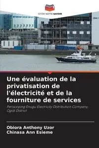 Une évaluation de la privatisation de l'électricité et de la fourniture de services - Anthony Uzor Obiora