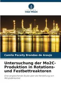 Untersuchung der Mo2C-Produktion in Rotations- und Festbettreaktoren - Camila Brandão de Araújo Pacelly