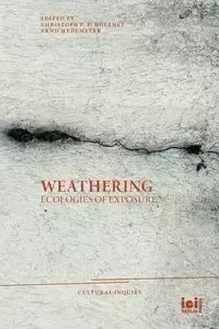 Weathering - Holzhey Christoph F. E.