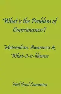 What is the Problem of Consciousness? - Neil Paul Cummins