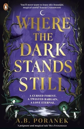 Where the dark stands still wer. angielska - A.B. Poranek