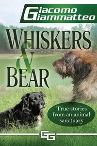 Whiskers and Bear - Giammatteo Giacomo