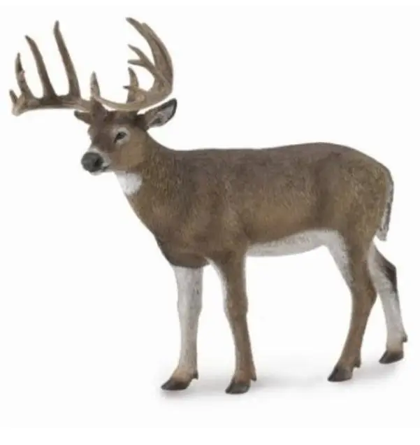 White-Tailed Deer - Collecta