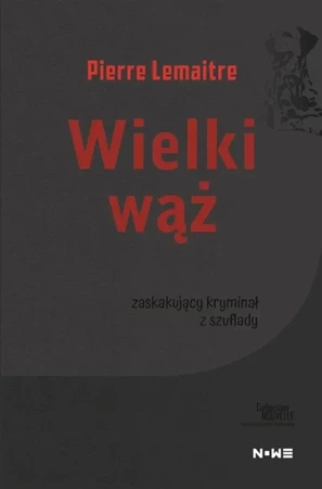 Wielki wąż - Pierre Lemaitre