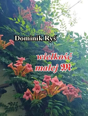 Wielkość małej m - Dominik Ryś