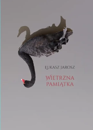 Wietrzna pamiątka - Łukasz Jarosz