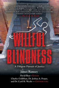 Willful Blindness - James Ramsey