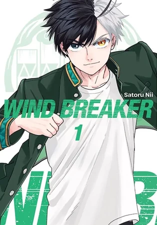 Wind Breaker. Tom 1 - Satoru Nii