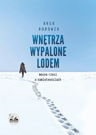 Wnętrza wypalone lodem - Arek Borowik