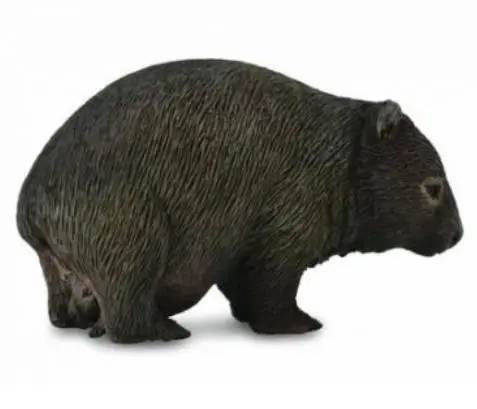 Wombat - Collecta