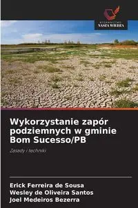 Wykorzystanie zapór podziemnych w gminie Bom Sucesso/PB - Erick Sousa Ferreira de