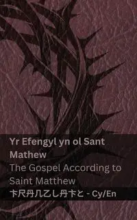 Y Beibl (Yr Efengyl yn ol Sant  Mathew) / The Bible (The Gospel According to Saint Matthew) - KJV