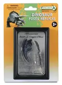Ząb i pazur Allozaurusa - Collecta