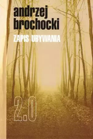 Zapis ubywania 2.0 - Andrzej Brochocki