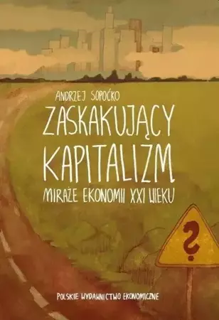 Zaskakujący kapitalizm. Miraże ekonomii XXI wieku - Andrzej Sopoćko