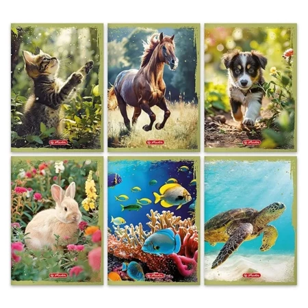 Zeszyt A5/16K kratka Animals (20szt) - HERLITZ