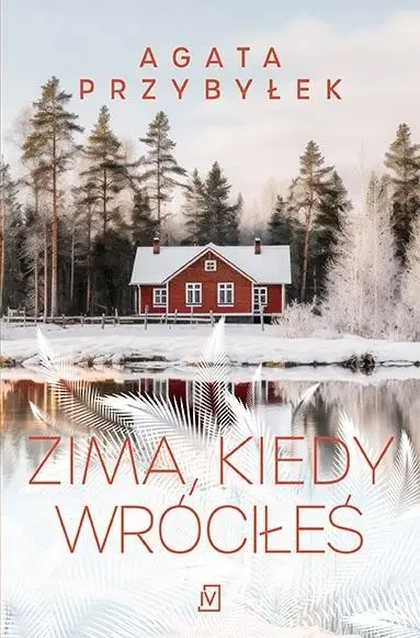 Zima, kiedy wróciłeś - Agata Przybyłek