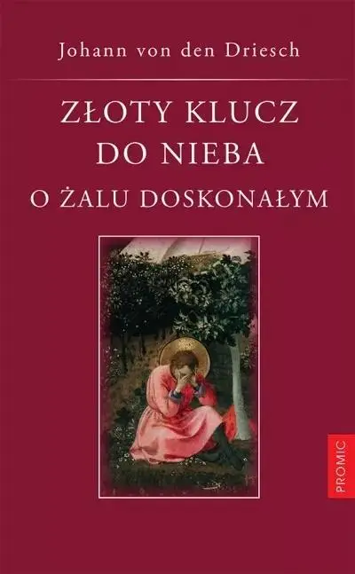 Złoty klucz do nieba. O żalu doskonałym - von Johann den Driesch