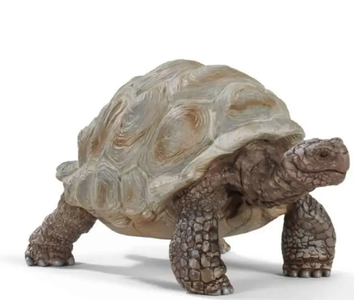 Żółw gigant saszetka - SCHLEICH