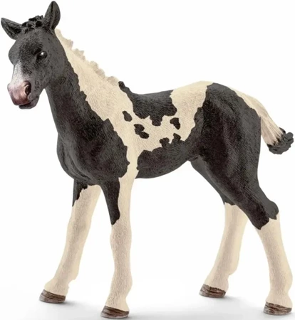 Źrebię Pinto - SCHLEICH