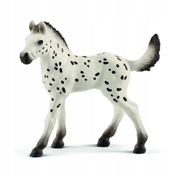 Źrebię rasy Knapstrupper Foal - SCHLEICH