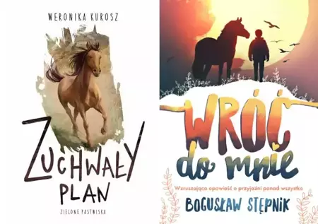 Zuchwały plan + Wróć do mnie PAKIET - Bogusław Stępnik