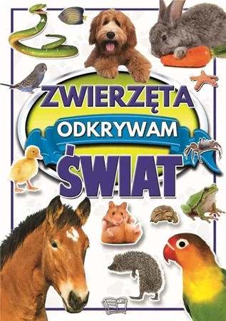 Zwierzęta. Odkrywam świat - Joanna Werner