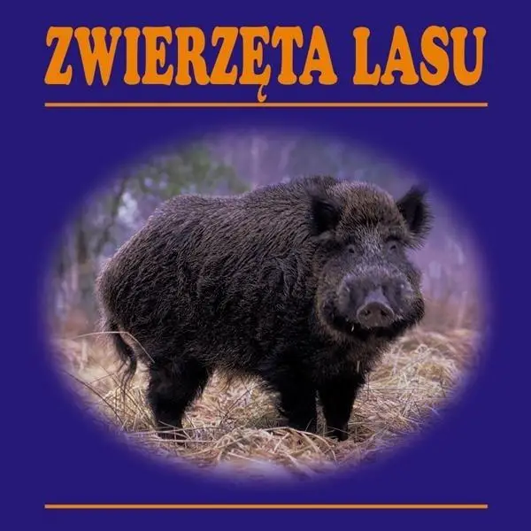 Zwierzęta lasu harmonijka - praca zbiorowa