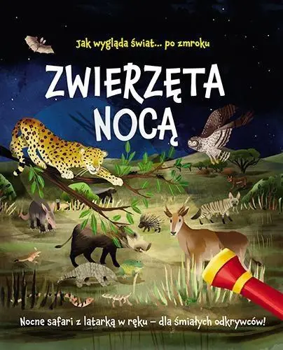 Zwierzęta nocą. Nocne safari z latarką w ręku - Lisa Regan