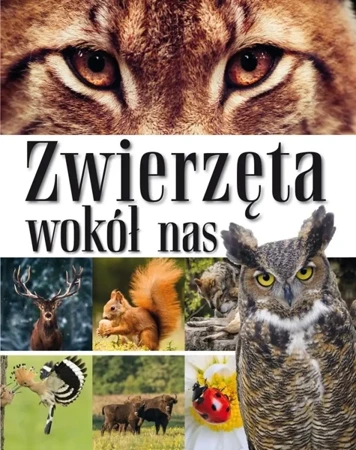 Zwierzęta wokół nas. Encyklopedia dla dzieci - praca zbiorowa