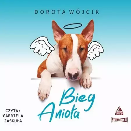 audiobook Bieg Anioła - Dorota Wójcik