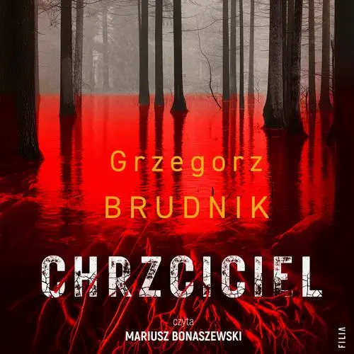 audiobook Chrzciciel - Grzegorz Brudnik