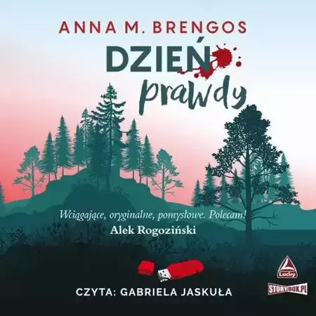 audiobook Dzień prawdy - Anna M. Brengos