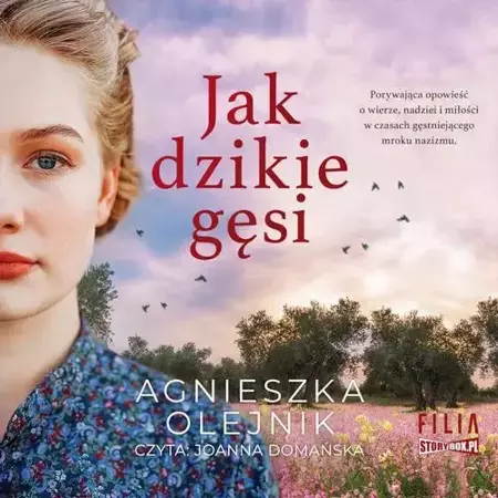 audiobook Jak dzikie gęsi - Agnieszka Olejnik