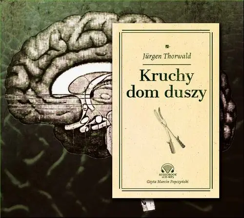 audiobook Kruchy dom duszy - Jürgen Thorwald