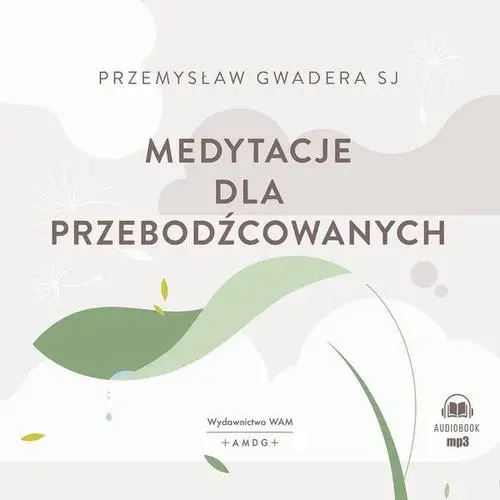 audiobook Medytacje dla przebodźcowanych Audiobook - Przemysław Gwadera Sj