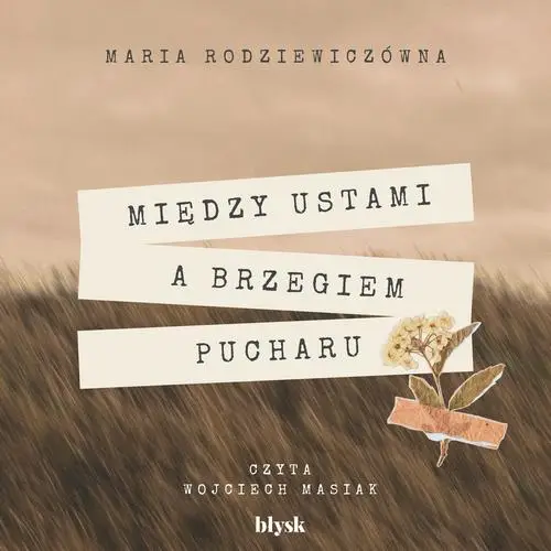 audiobook Między ustami a brzegiem pucharu - Maria Rodziewiczówna