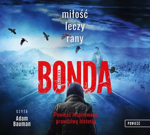 audiobook Miłość leczy rany - Katarzyna Bonda