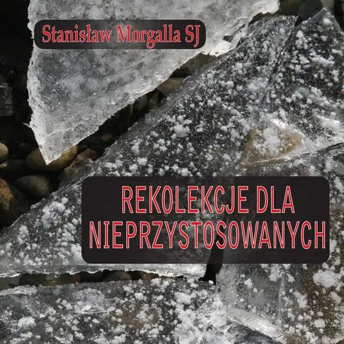 audiobook Rekolekcje dla nieprzystosowanych - Stanisław Morgalla