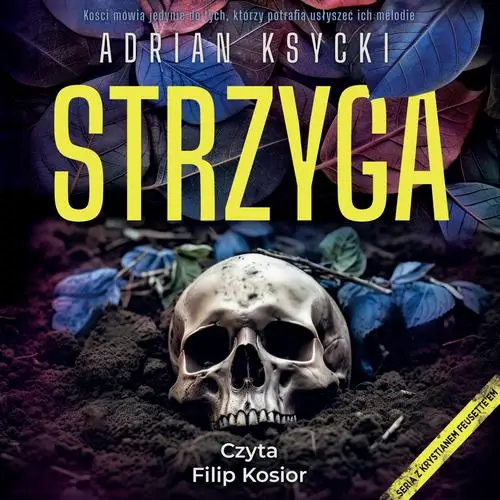 audiobook Strzyga - Adrian Ksycki