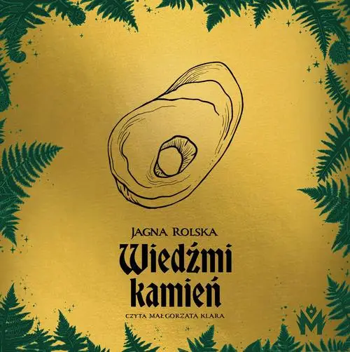 audiobook Wiedźmi kamień - Jagna Rolska