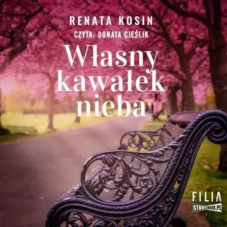 audiobook Własny kawałek nieba - Renata Kosin