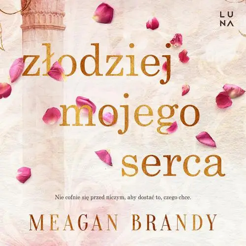 audiobook Złodziej mojego serca - Meagan Brandy